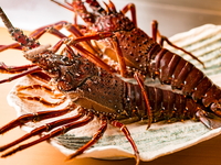 【奧馬爾蝦套餐】奧馬爾蝦×神戶牛沙朗100克套餐