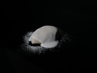 【東京最高の名物料理レストランウィーク2026】ディナーコース