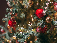 [12/24-25 Christmas Limited] "Northern Italian Winter" Semi-Buffet with a choice of main course