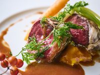 2025 “orange NOEL Course”