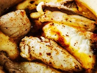 【2026.1月9日~】 18:30瀬戸内ナポリ料理/お肉料理付きコース¥16500(別途サービス料※予約時間の5分前までにご来店くださいませ。