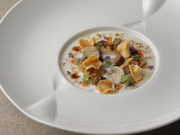 【ランチ】Prex-fixe Menu B ¥11,300