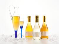 【20歳のお祝いプラン】冬の特別コース ～冬華～