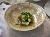[Weekday Lunch] PLANTS: A 4-course meal including spring vegetable terrine and chilled new onion potage.