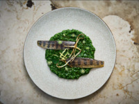 [Lunch Course] Okayama-produced pork with shiso and prosciutto, organic vegetables, and more - 5-course meal P72