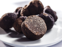 2026 Fresh Truffle Tasting Menu 43,000yen