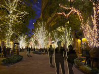 DINNER COURSE Xmas menu ¥35,000