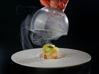 （Dinner）～シェフお任せコース ～