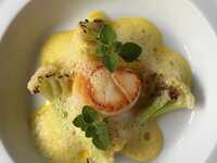 2026 점심 8,000엔(세금 별도)