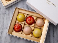 トリロジー・ヴィーガン　チョコレート｜6個入り