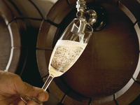 2026/1.2.3【WEB限定】女子会プラン：ランチ