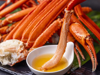 【ズワイガニ食べ放題付き】ディナービュッフェ（大人）
