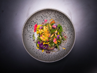 クリスマス特別コース