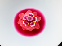 【New Year’s Special Offer for Online】Voyage 7 Course Dinner 