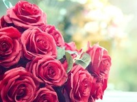 提案方案 28,000日元