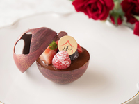 【Valentine’s Day 2026】ドームショコラ