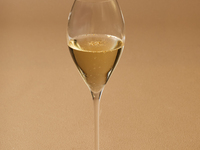 直前割10％OFF【乾杯酒付き】クリスマスディナー（平日） ￥22,500