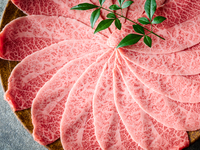 【クリスマスコースB】2025年12月24日～25日