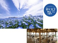 【シーサイドテラス　テーブル席】ネモフィラBBQランチ　手ぶら