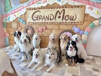 【平日】新規様限定ふれあいプラン　スペシャルドリンク付き