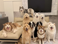 [Weekdays] Party Buffet & Interaction Plan