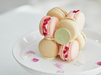 【記念日ディナーB】マカロンケーキ＋乾杯酒付き