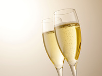 1/5～1/31限定！新年会特別個室ランチプラン（乾杯スパークリング付飲み放題）￥9500