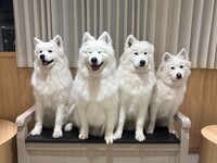 4 Brothers Birthday Event