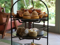 苺 ショコラ Afternoon tea アルコールフリーフロー付 2営業日前までの予約制