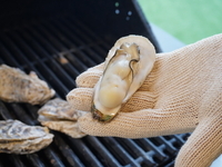 【牡蠣小屋メニュー】波有手のカキ500g