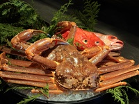 活け松葉蟹コース