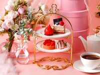 【冬の果実！いちごミニアフタヌーンデザート付き＆乾杯スパークリングワイン】表参道★夜カフェコース《ご予約制》