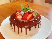 シャンティショコラ-15㎝-