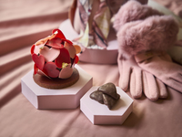 【Valentine 2026】MON PETAL