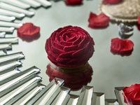 【Valentine 2026】マ・ローズ～ ローズに込めた想い～