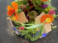 Lunch Pesca　お肉　〈牛肉〉