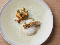 [Limited to February 7th] Lunch course with 7 dishes