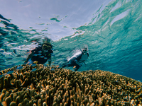 【Visitor】Beach Snorkel tour 90min Adult/Child (season B_2026 3/20-4/5, 4/25-5/10, 7/1-9/30