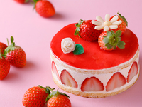 Fraisier 12cm (serves 3-4 people)