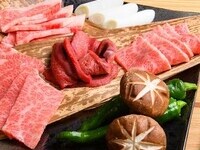 All-you-can-drink Light Plan 