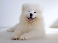 Seat only reservation