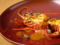 【★1月～2月限定タイムセール★伊勢海老ランチ★】前菜・パスタ・旬魚・メインが伊勢海老のグラチネ！全5皿フルコース！