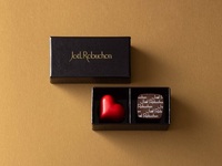 Bonbon Chocolat <2 types, 1 piece each>