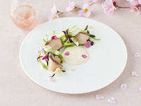 【桜×春の味覚を堪能】桜づくしのフレンチコース（3/23～30,4/1,4/3～4/5）