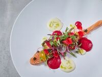 [Official website & weekday limited special offer] SCAPES ORANGE Lunch (4 dishes)