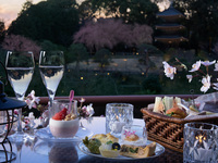 Twilight Sakura Terrace（金土祝）