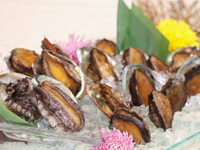 ランチ　“Abalone” 