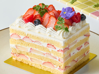 voco square shortcake / 12×9cm