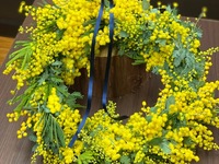 【特別プラン】 ミモザリース製作特別レッスン & Lunch Set A　【11:30枠】