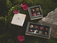 Valentine's Chocolate Gift (8 pieces)